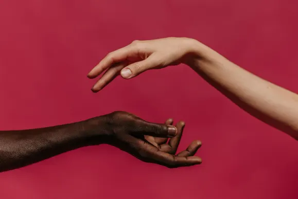 كازينو سلوتس جانغل الدعم